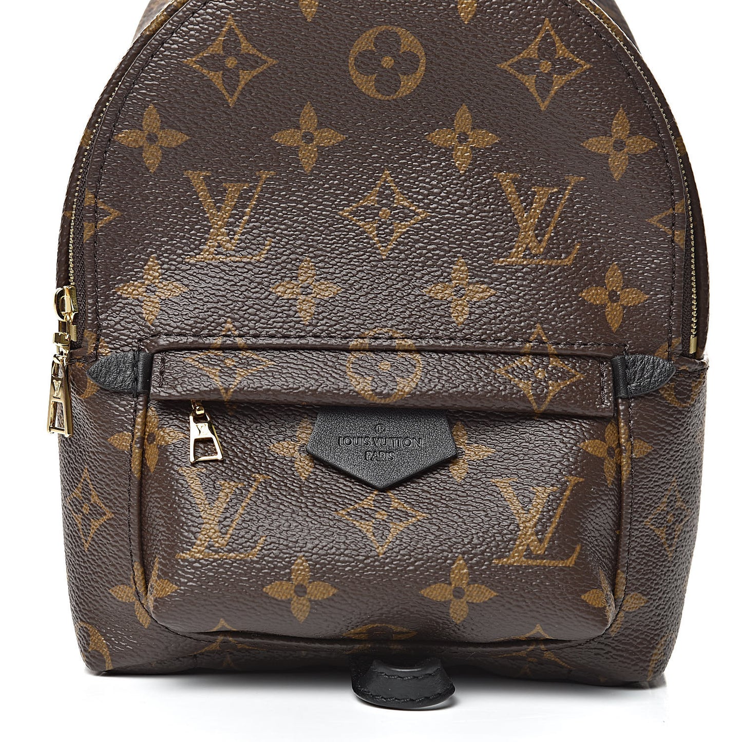Monogram Palm Springs Backpack Mini