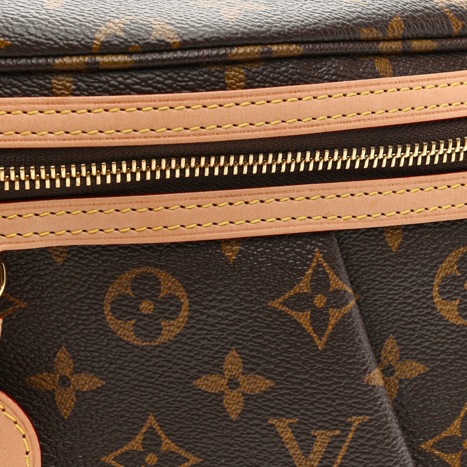 Louis Vuitton LOUIS VUITTON Monogram High Rise Bumbag 7 of 9