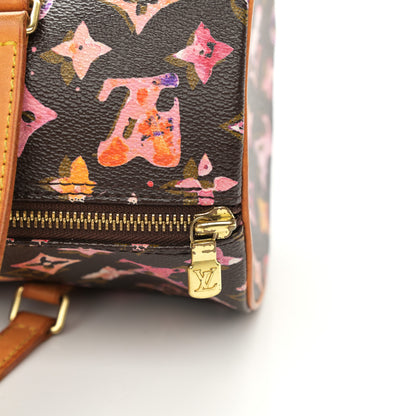 Louis Vuitton Watercolor Aquarelle Papillon 12 of 13