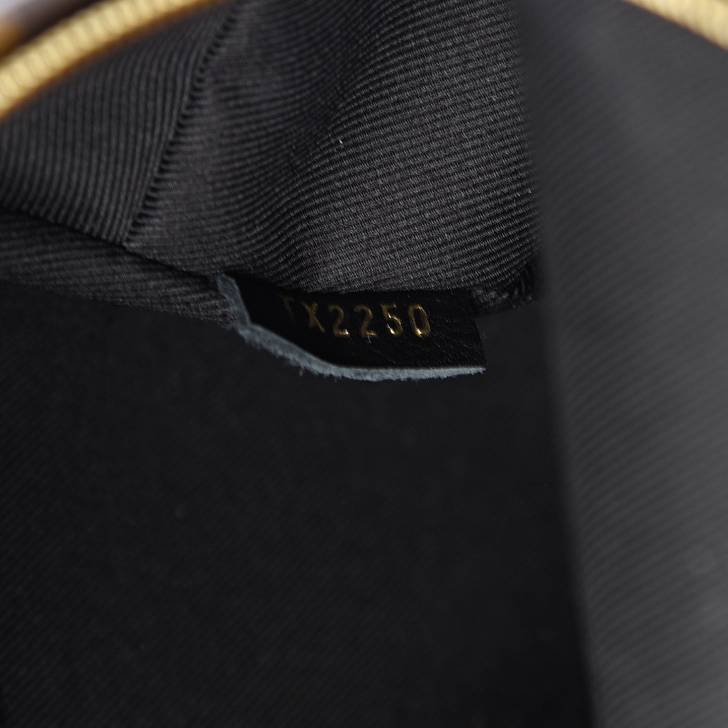 Monogram Palm Springs Backpack Mini