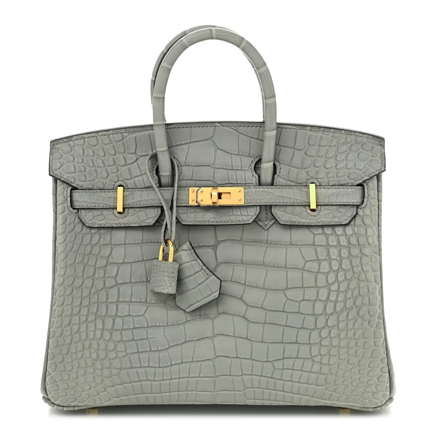 Hermes Matte Alligator Birkin 25 Gris Ciment 1 of 11