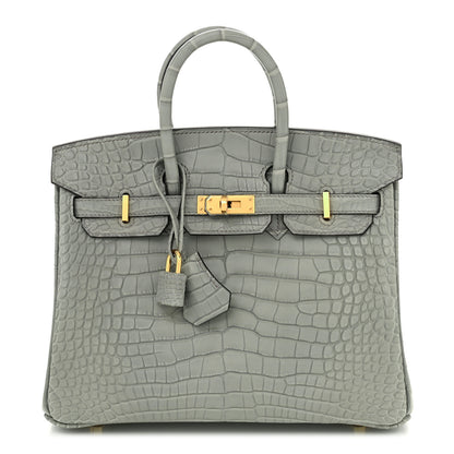 Hermes Matte Alligator Birkin 25 Gris Ciment 1 of 11