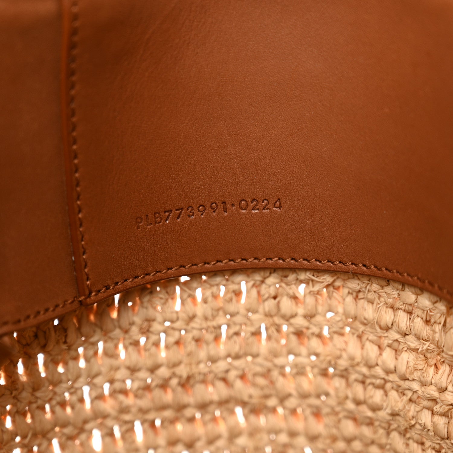 Saint Laurent Raffia Vegetable Tanned Calfskin Le 37 Bucket Bag Natural Brick 8 of 14