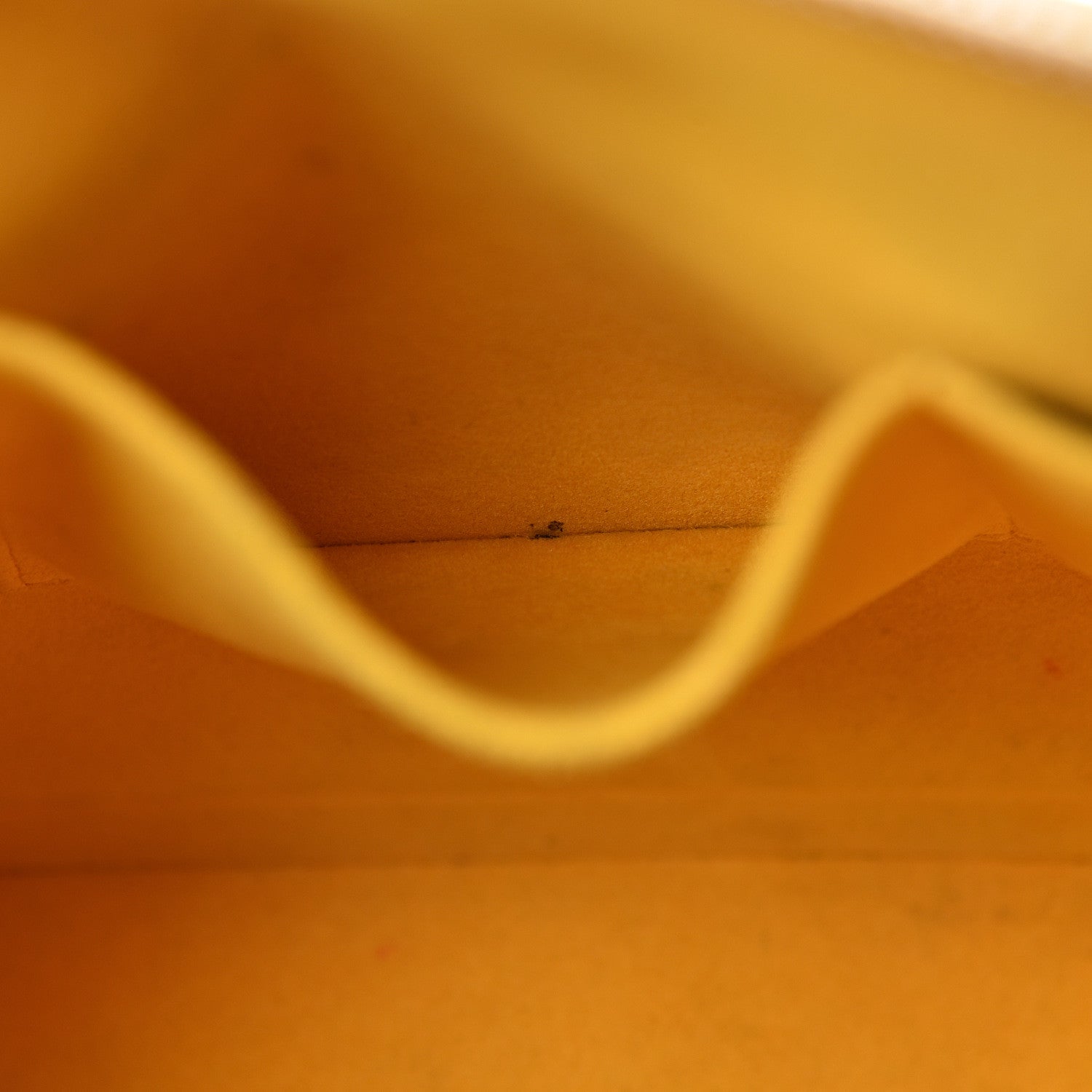 Louis Vuitton Epi Alma GM Citron 6 of 24