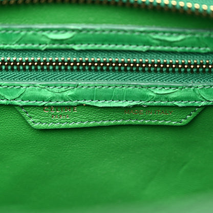 Celine Snakeskin Mini Luggage Green 6 of 12
