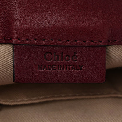 Chloe Suede Calfskin Mini Faye Backpack Earthy Red 6 of 11