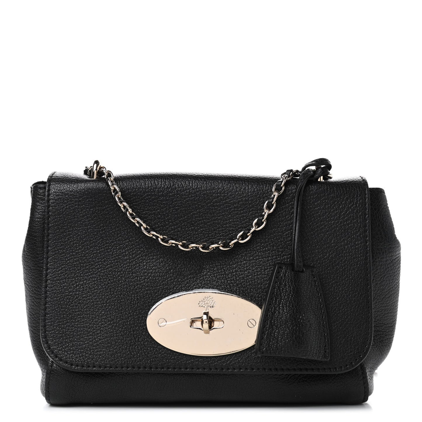 Glossy Goatskin Small Lily Flap Black