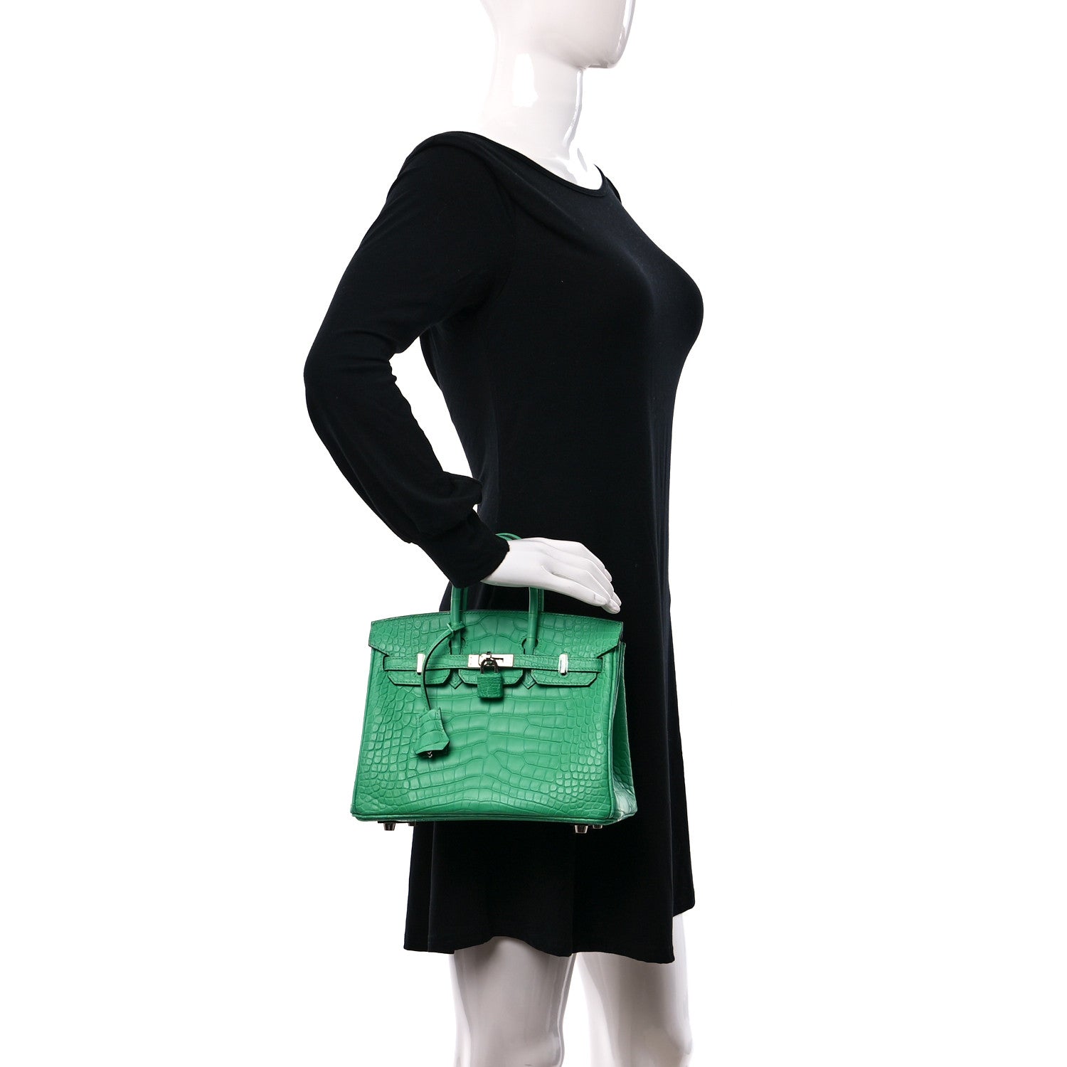 Hermes Matte Alligator Birkin 25 Vert Comics 2 of 13