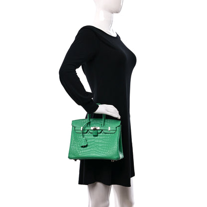 Hermes Matte Alligator Birkin 25 Vert Comics 2 of 13
