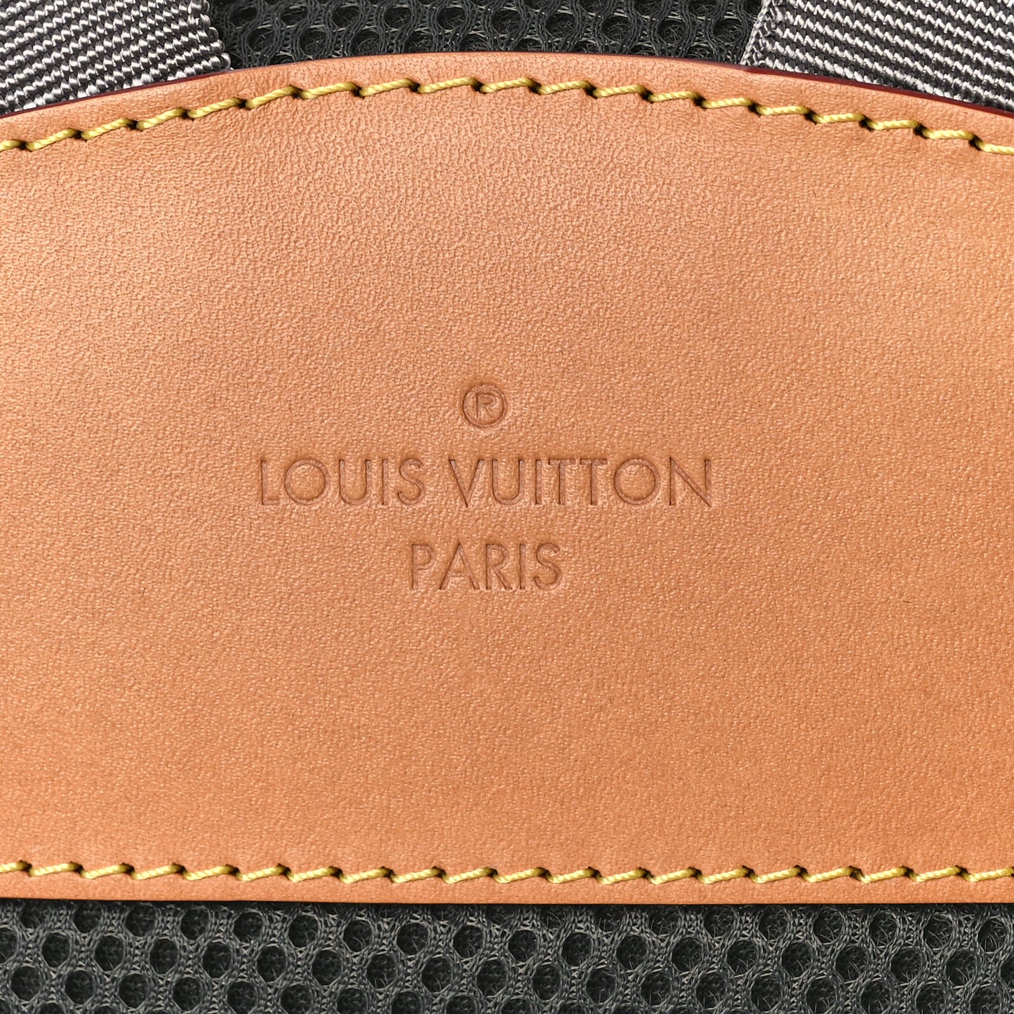 Monogram Titanium Backpack PM