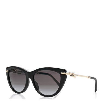 Tiffany Acetate Cat Eye Sunglasses TF4253 Black 1 of 7