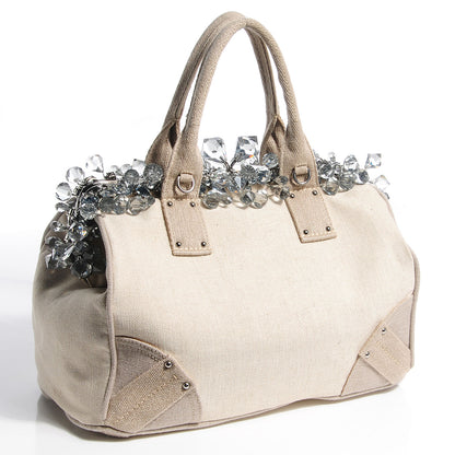 Prada Canvas Mistolino Medium Crystal Cluster Frame Bag Naturale 5 of 18