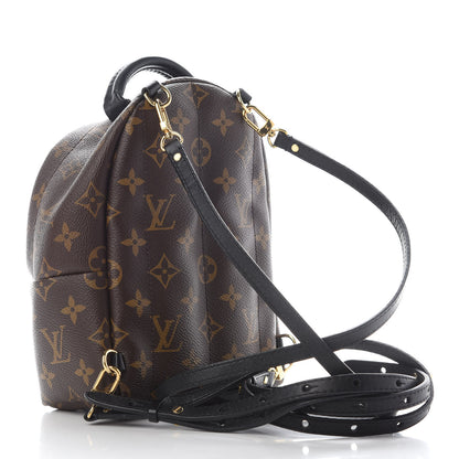 Louis Vuitton Monogram Palm Springs Backpack Mini 3 of 12