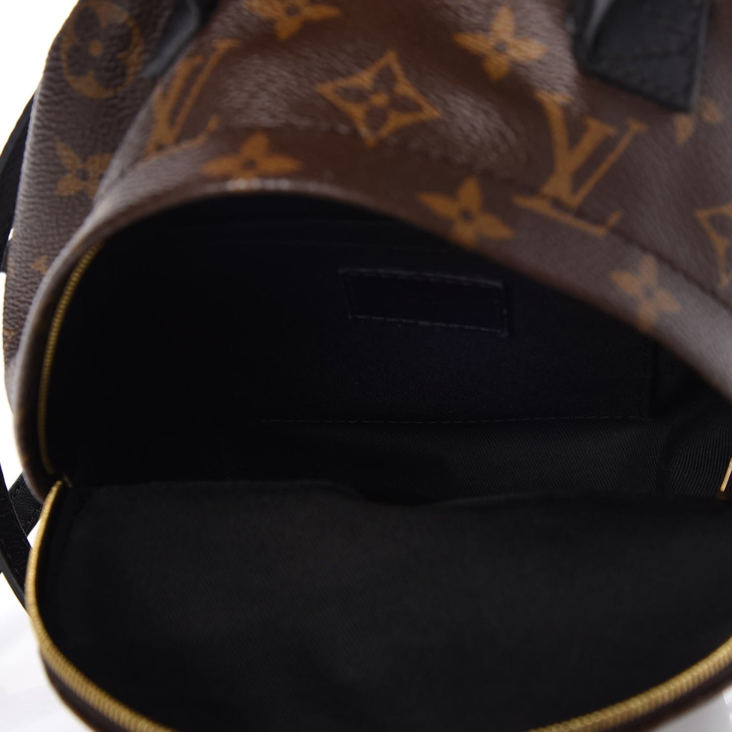 Monogram Palm Springs Backpack Mini