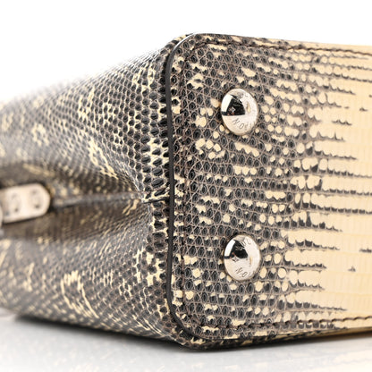 Louis Vuitton Lizard Ombre Capucines Mini Natural 9 of 11