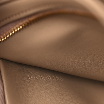 Celine Shiny Calfskin Medium Triomphe Smoked Brown 9 of 14