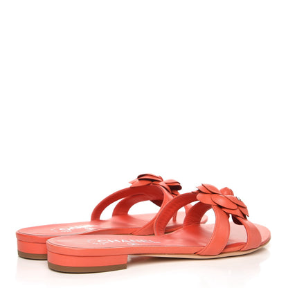 Chanel Lambskin Camellia Sandals 36 Orange 4 of 8