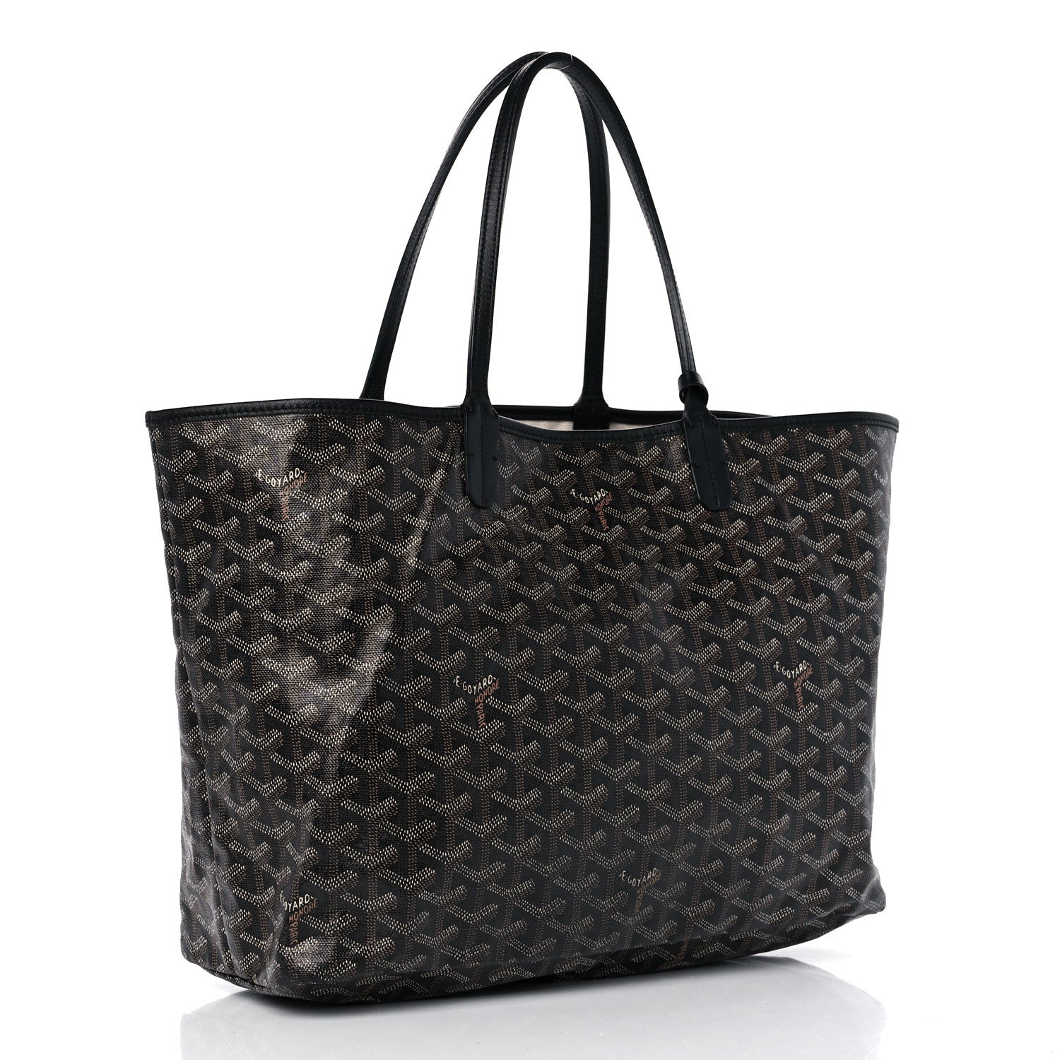 Goyard Goyardine Saint Louis PM Black 4 of 15
