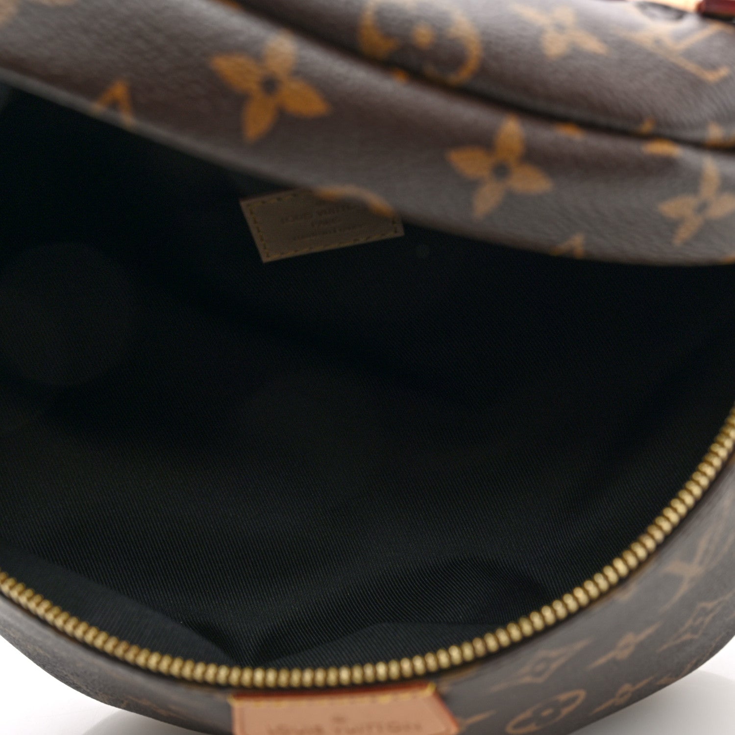 Louis Vuitton Monogram Bumbag 5 of 9