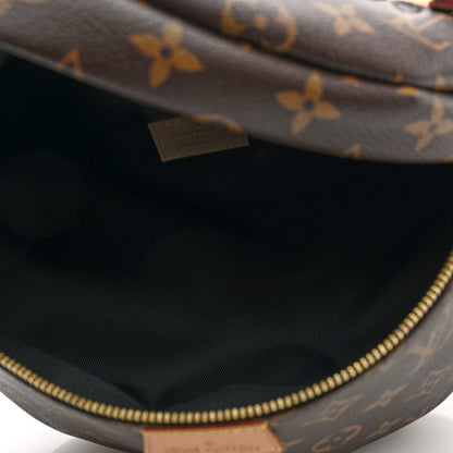 Louis Vuitton Monogram Bumbag 5 of 9