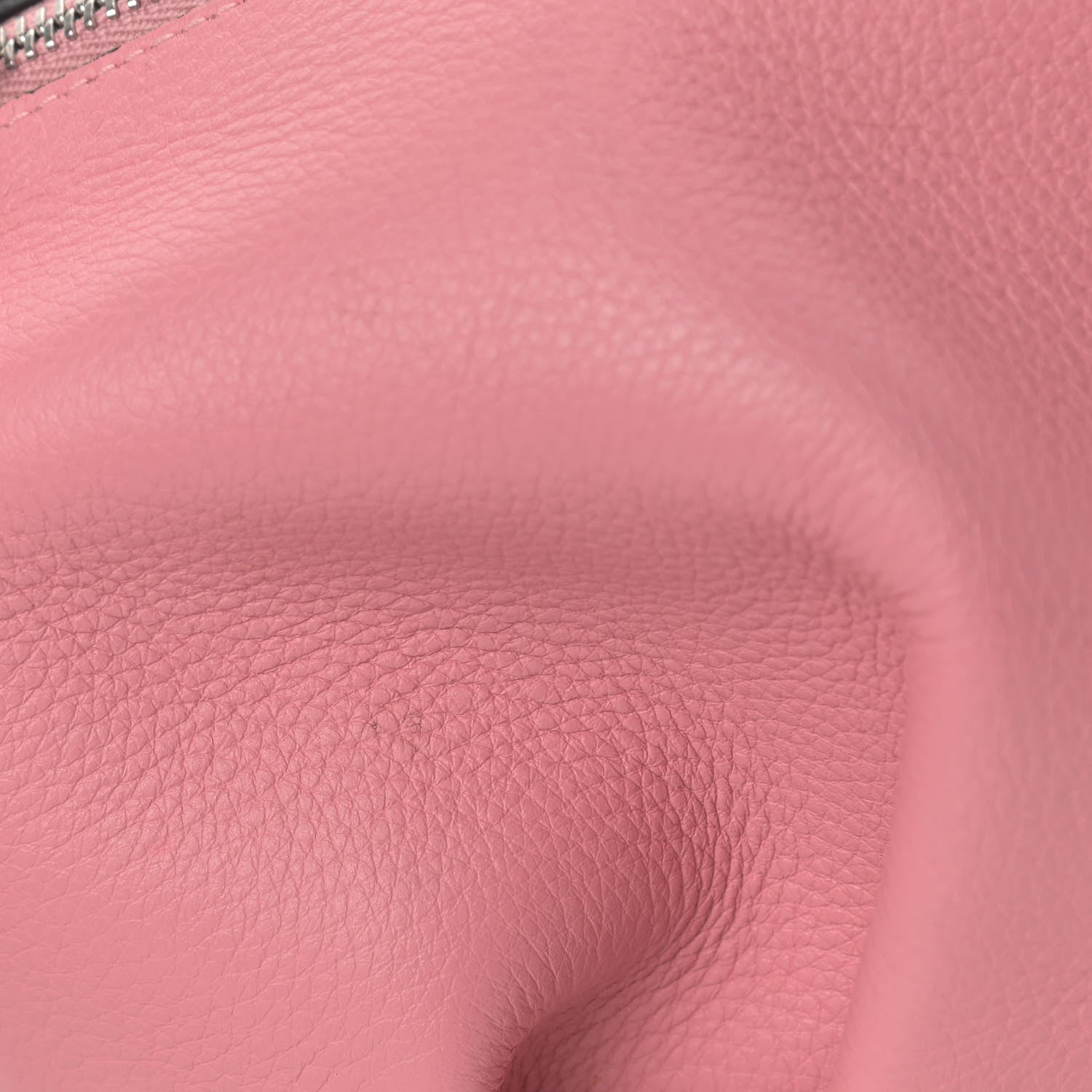 Loewe Calfskin Mini Elephant Crossbody Bag Candy 11 of 11