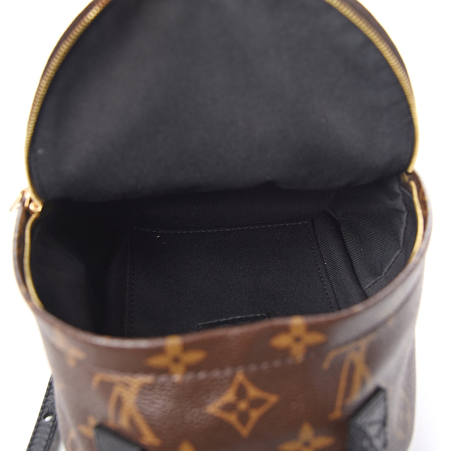 Monogram Palm Springs Backpack Mini