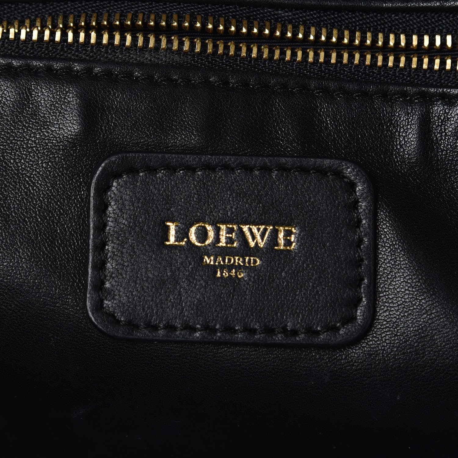 Loewe Metallic Calfskin Amazona Bronze 6 of 14