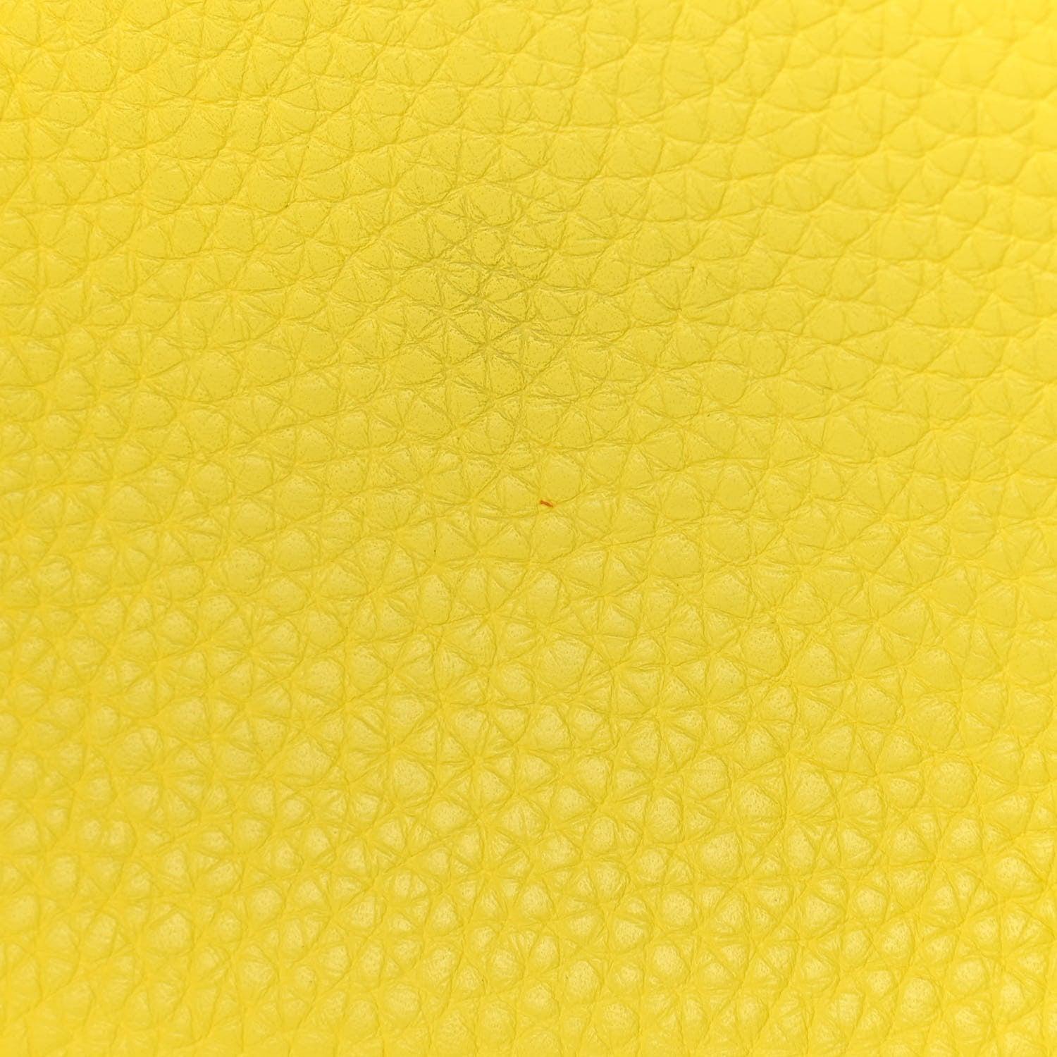 Hermes Taurillon Clemence Mini Lindy 20 Lime 15 of 15