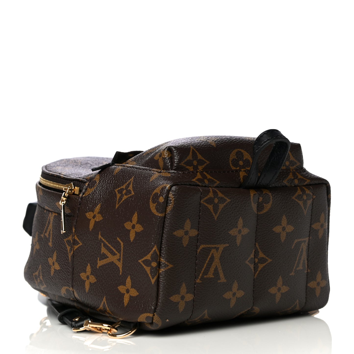 Monogram Palm Springs Backpack Mini