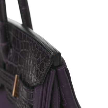 Hermes Togo Matte Alligator Birkin Touch 30 Raisin Prunoir 22 of 23