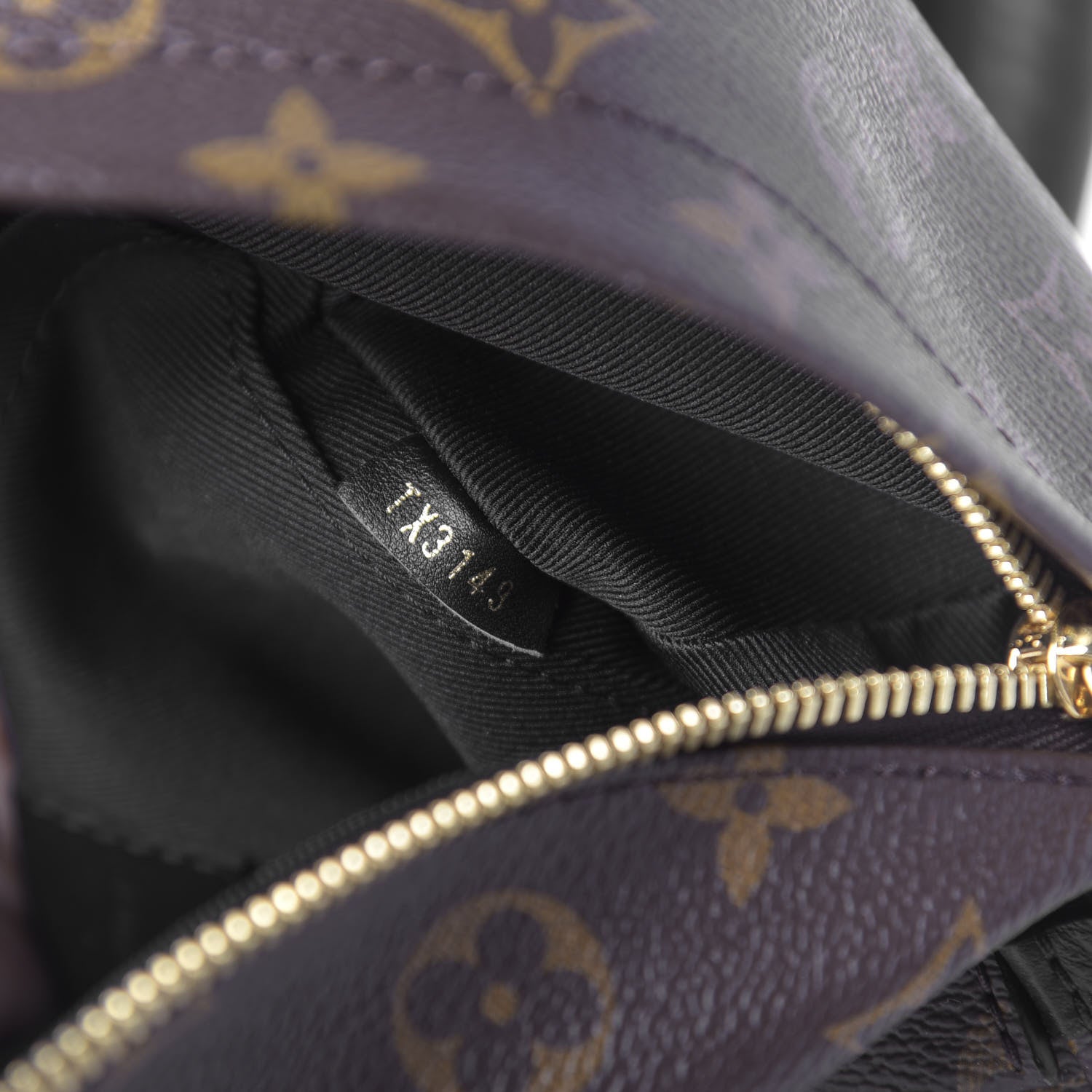 Louis Vuitton Monogram Palm Springs Backpack PM 7 of 9