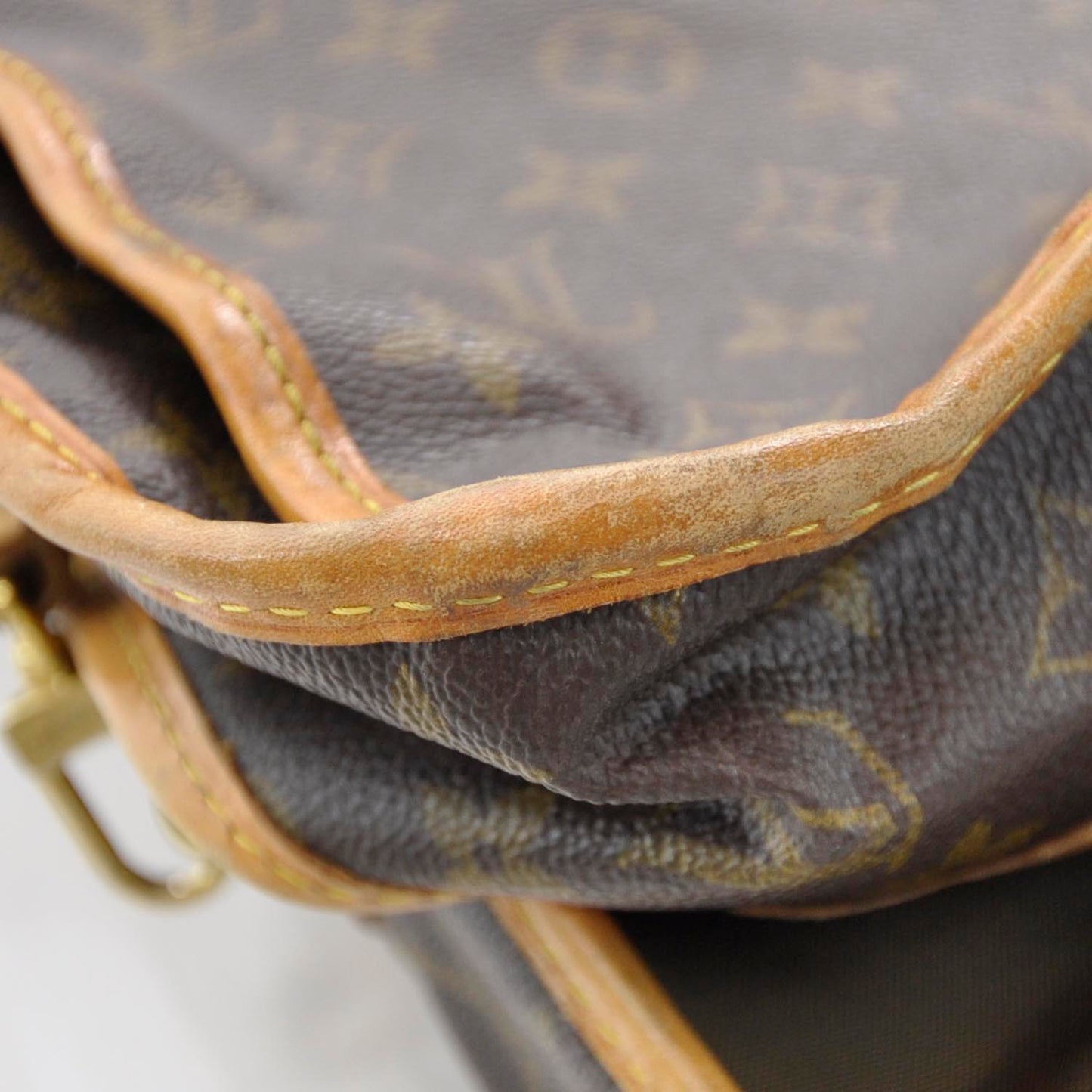Monogram Garment Bag Hanging