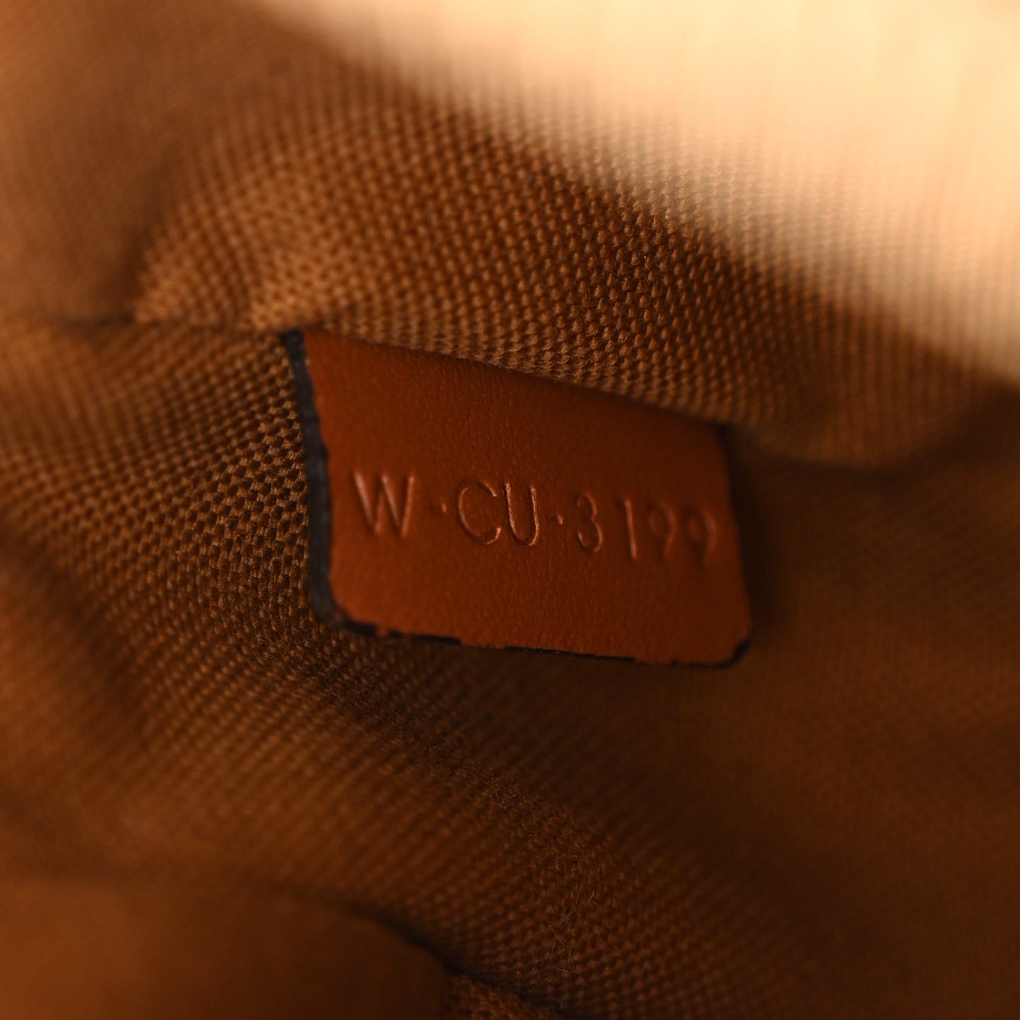 Triomphe Canvas Small Camera Bag Tan