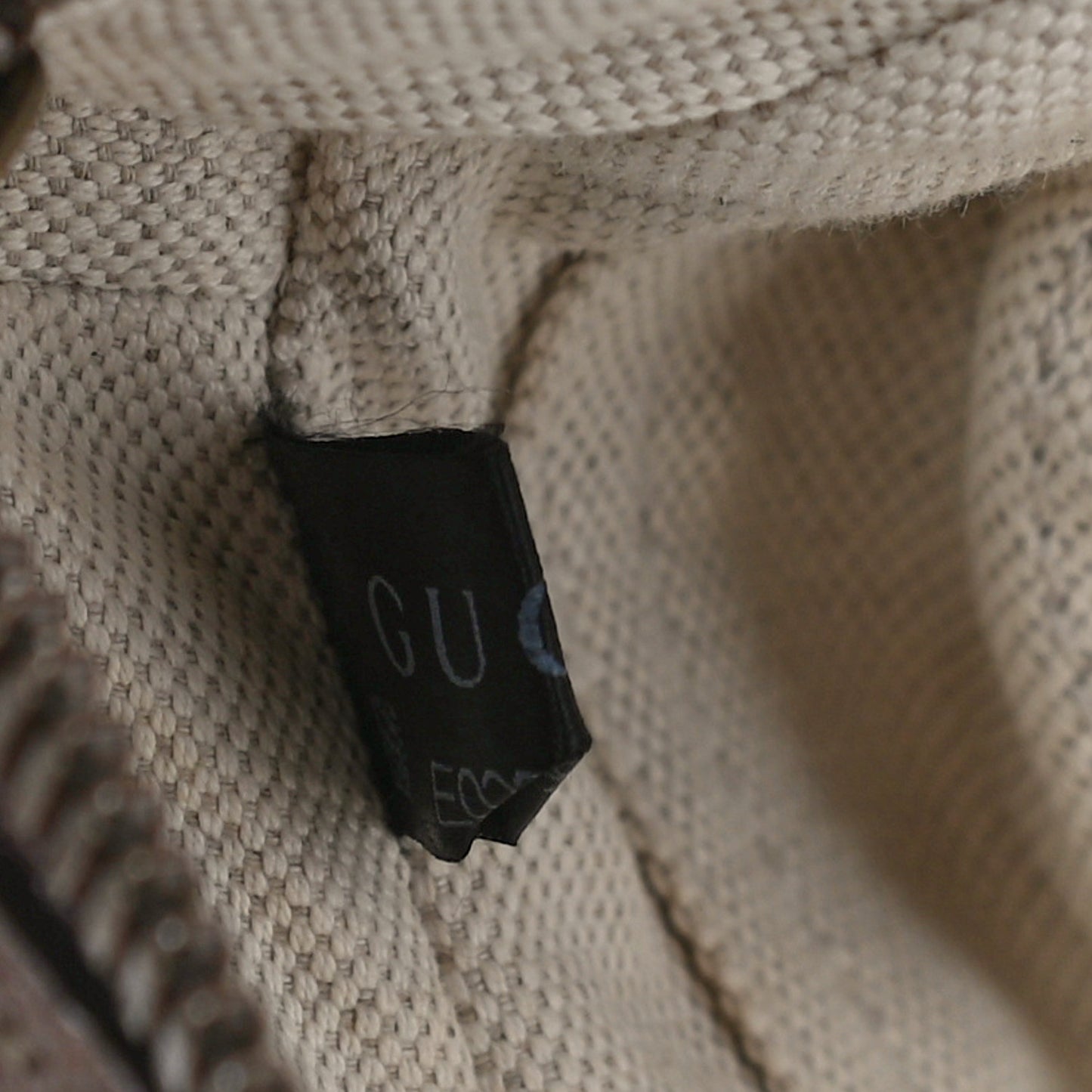 GG Supreme Monogram Web Insect Dome Backpack