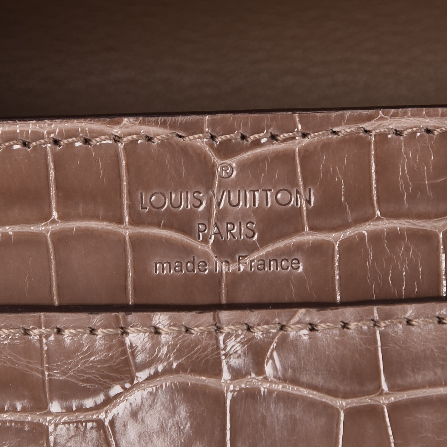 Louis Vuitton Alligator Chain Louise GM Taupe 6 of 7