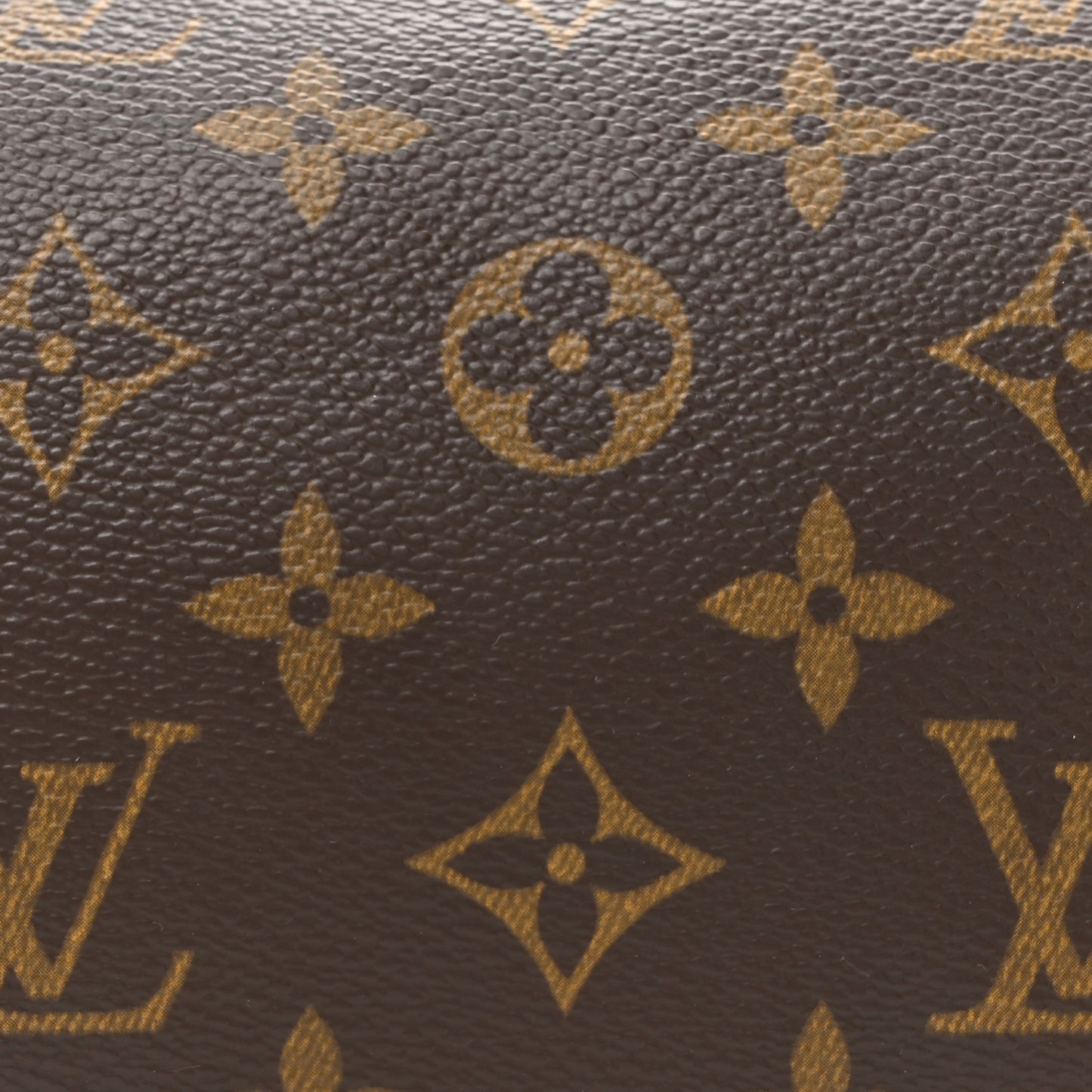 Monogram Papillon 30 with Companion