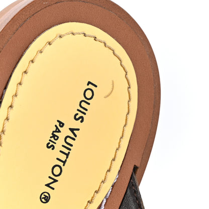 Louis Vuitton Monogram Sunny Flat Thong Sandals 36 Brown 9 of 9