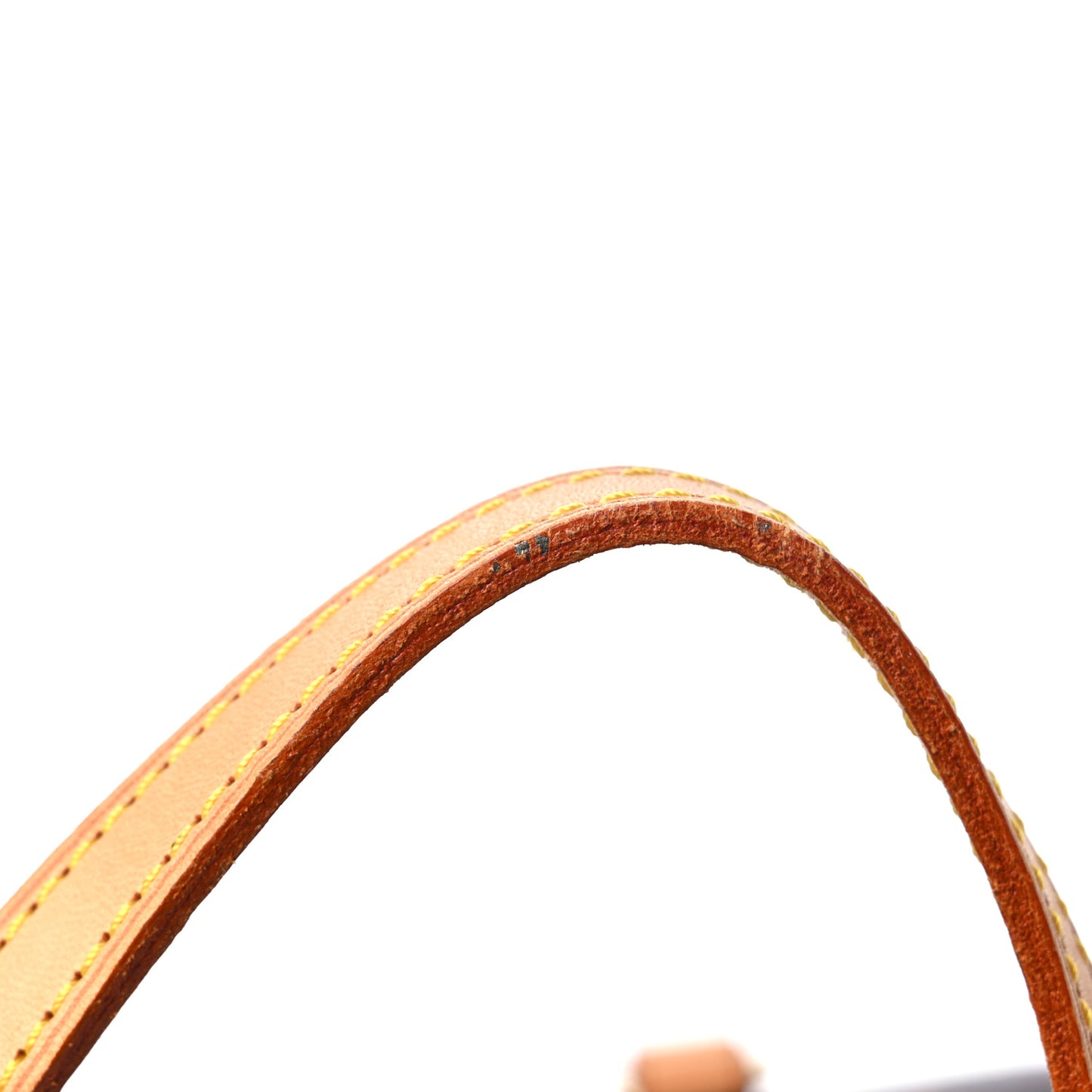 Monogram Papillon 30 With Companion