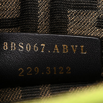 Fendi Vitello King Plexiglass Logo Embossed Mini By The Way Top Handle Boston Bag Wasabi 7 of 10