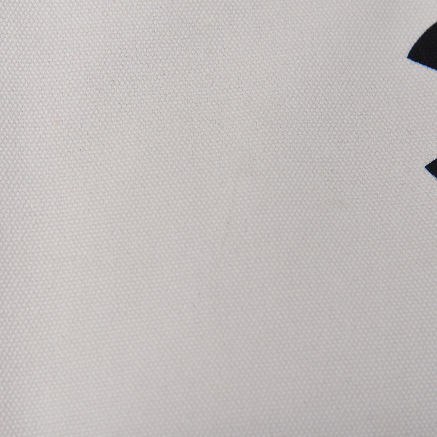 Canvas Calfskin Large Let's Demonstrate Tote White Black