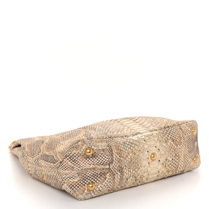 Chanel Snakeskin CC Hobo Beige 4 of 9