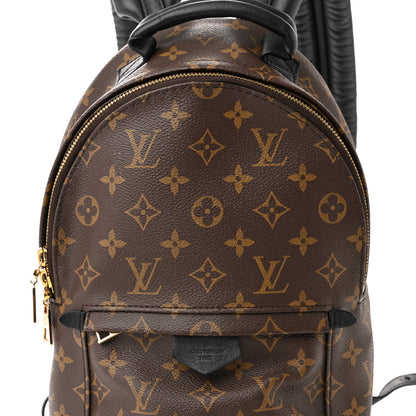 Louis Vuitton Monogram Palm Springs Backpack PM 8 of 12