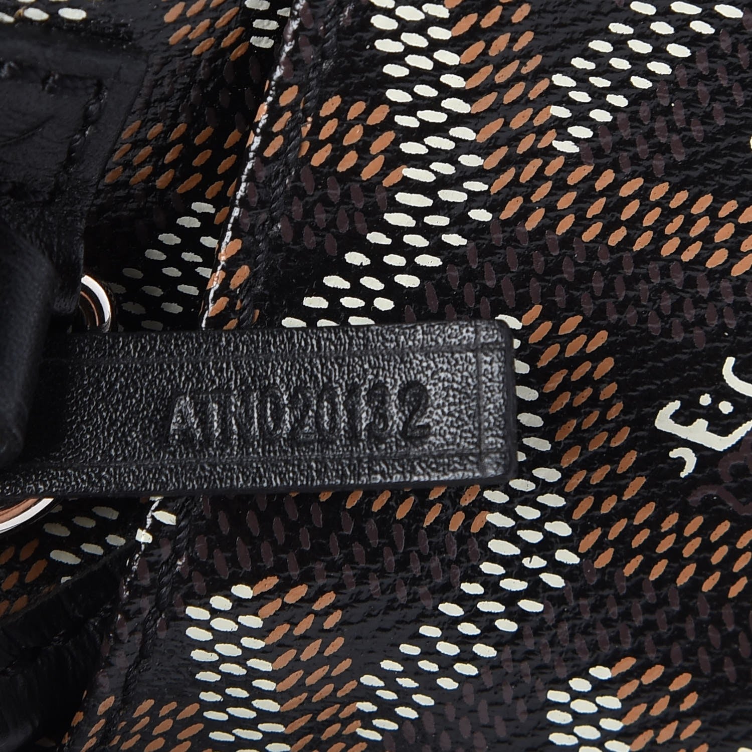 Goyard Goyardine Saint Louis PM Black 7 of 11
