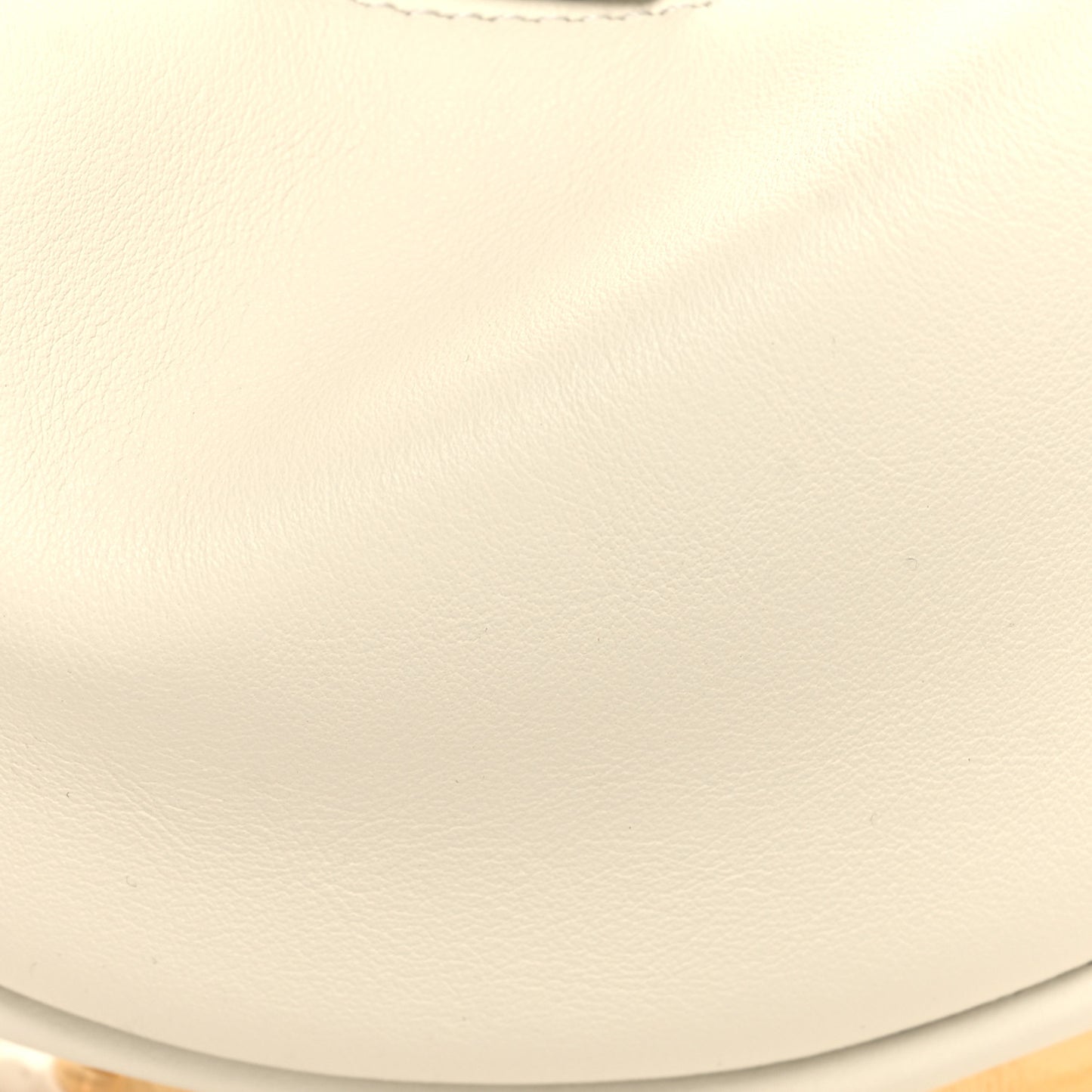 Vitello Grace Matte Nano Fendigraphy Hobo Charm White Ice