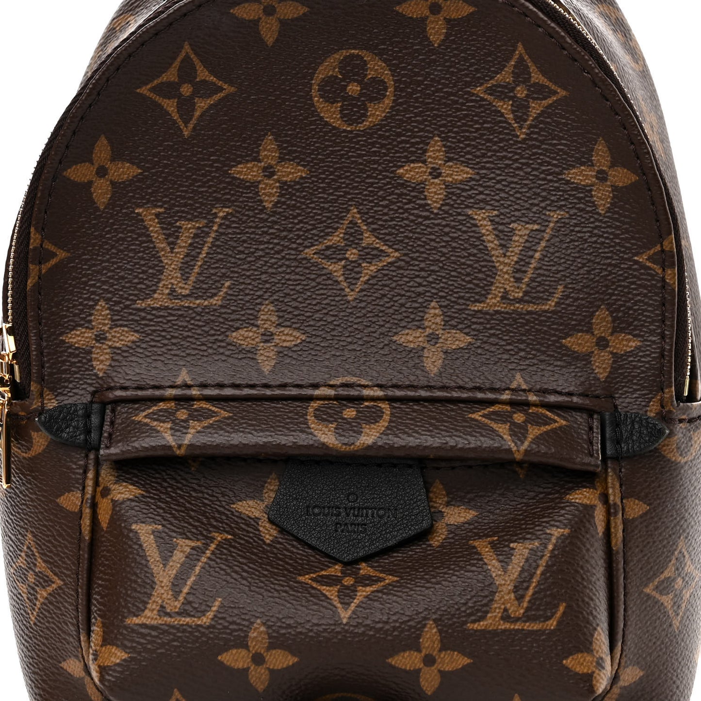 Monogram Palm Springs Backpack Mini