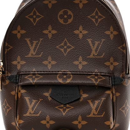 Louis Vuitton Monogram Palm Springs Backpack Mini 7 of 10