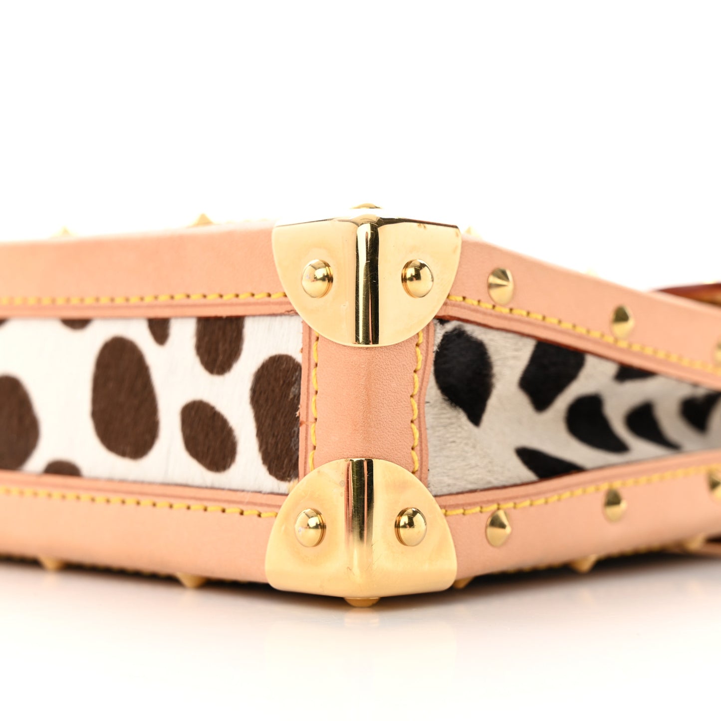 Monogram Multicolor Dalmatian Pochette