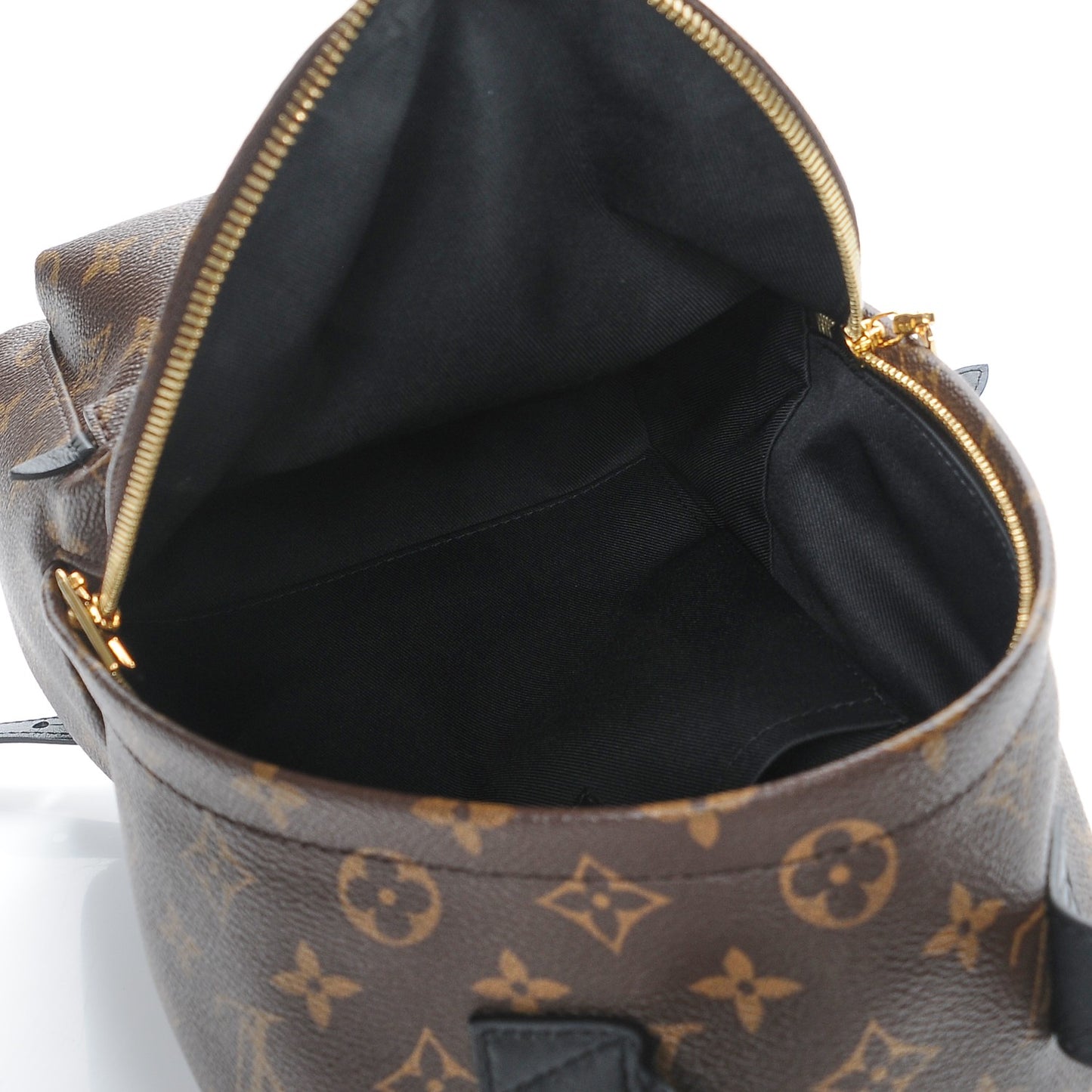 Monogram Palm Springs Backpack PM