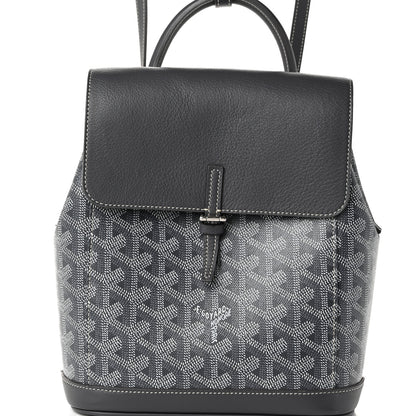 Goyard Goyardine Calfskin Mini Alpin Backpack Grey 7 of 9