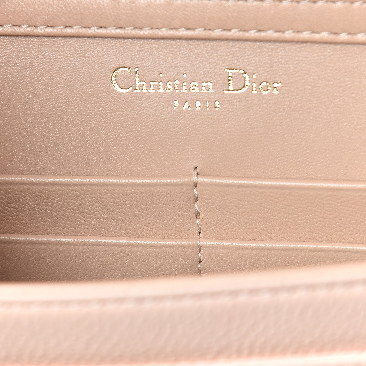 Grained Calfskin Diorama Wallet on Chain Pouch Nude